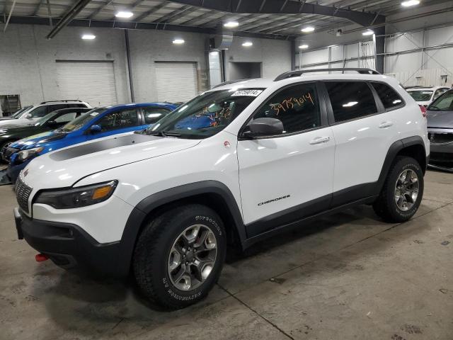 1C4PJMBX8KD399555 - 2019 JEEP CHEROKEE TRAILHAWK WHITE photo 1
