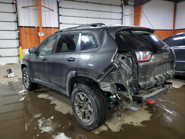 1C4PJMBX2LD558832 - 2020 JEEP CHEROKEE TRAILHAWK GRAY photo 2