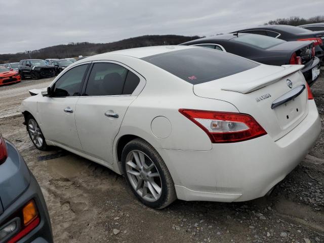 1N4AA5AP0BC867934 - 2011 NISSAN MAXIMA S WHITE photo 2