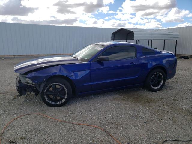 1ZVBP8AM6D5259179 - 2013 FORD MUSTANG BLUE photo 1