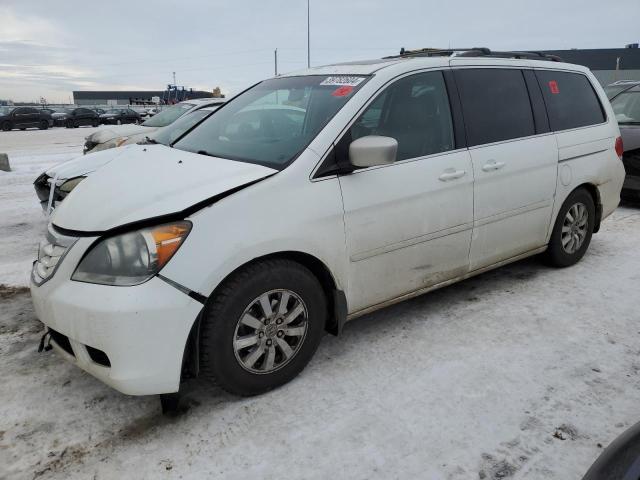 5FNRL38769B502866 - 2009 HONDA ODYSSEY EXL WHITE photo 1