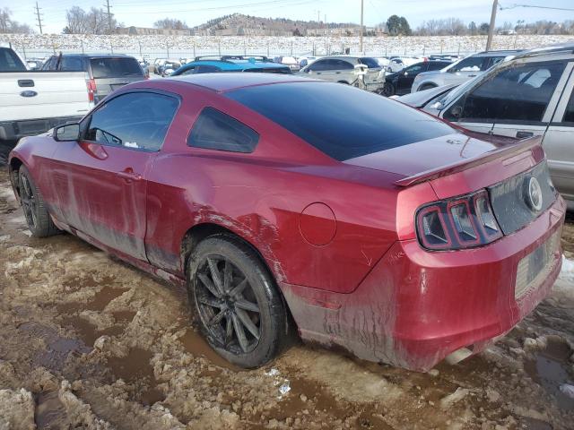 1ZVBP8AM9E5259629 - 2014 FORD MUSTANG RED photo 2