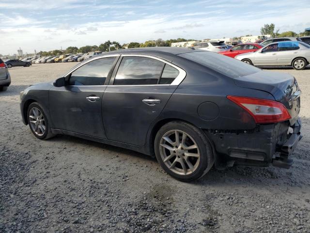 1N4AA5AP9AC815071 - 2010 NISSAN MAXIMA S GRAY photo 2