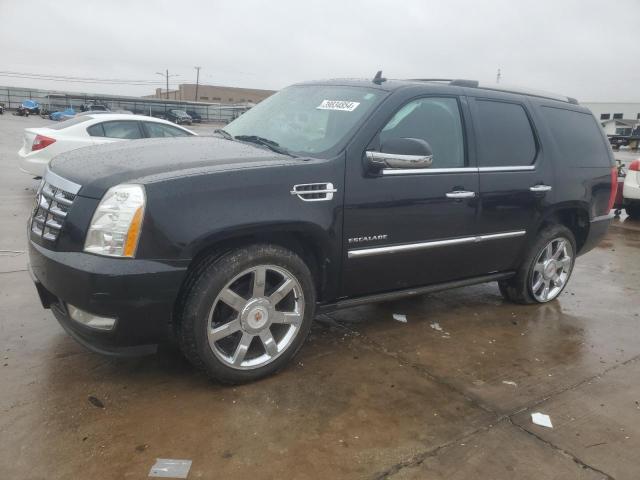 2010 CADILLAC ESCALADE PREMIUM, 