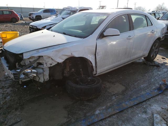 1G1ZC5EUXBF101398 - 2011 CHEVROLET MALIBU 1LT თეთრი ფოტო 1