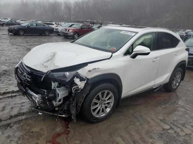 JTJDARDZ8M5023513 - 2021 LEXUS NX 300 BASE Ağ foto 1