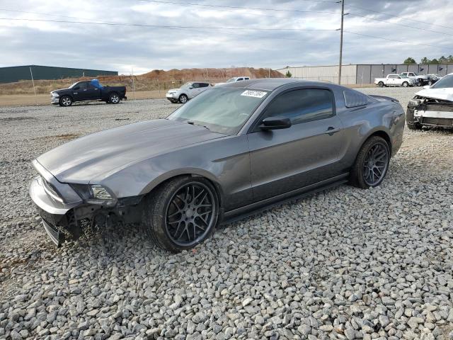 1ZVBP8AM7E5252016 - 2014 FORD MUSTANG GRAY photo 1