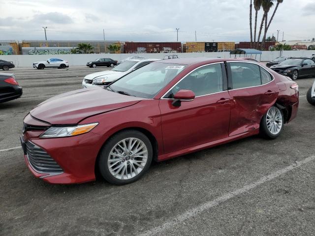 4T1B11HK3KU815155 - 2019 TOYOTA CAMRY L BURGUNDY photo 1