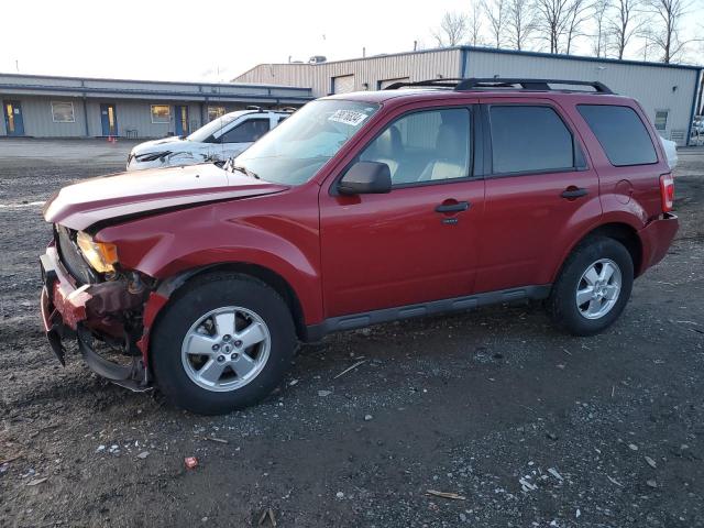 1FMCU9DG2BKB25761 - 2011 FORD ESCAPE XLT RED photo 1