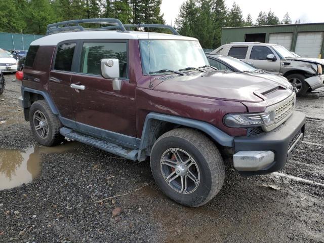 JTEBU11F370059748 - 2007 TOYOTA FJ CRUISER PURPLE photo 4