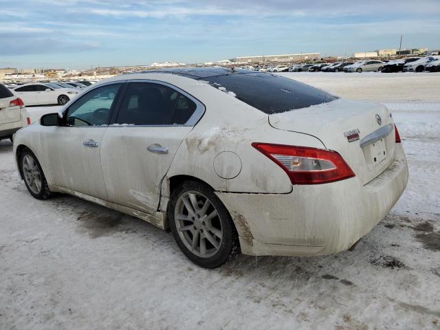 1N4AA5AP4BC824309 - 2011 NISSAN MAXIMA S WHITE photo 2