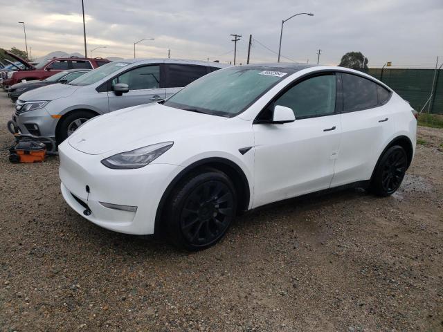 2023 TESLA MODEL Y, 