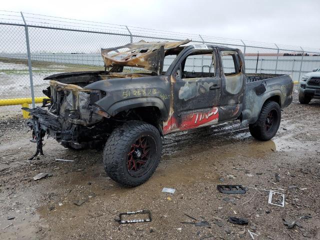 3TYRX5GN4NT064665 - 2022 TOYOTA TACOMA ACCESS CAB Бежевый фото 1