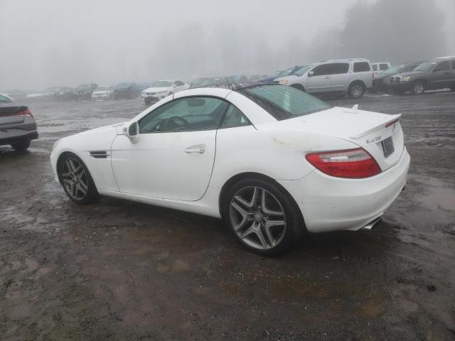 WDDPK4HA5FF106713 - 2015 MERCEDES-BENZ SLK 250 WHITE photo 2