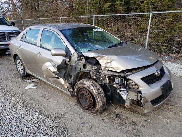 1NXBU40E59Z093146 - 2009 TOYOTA COROLLA BASE GOLD photo 4