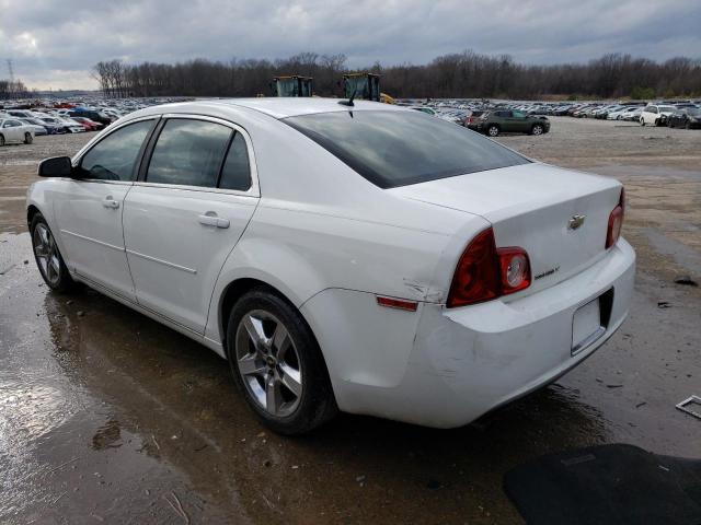 1G1ZC5EB0A4105131 - 2010 CHEVROLET MALIBU 1LT Blanc photo 2