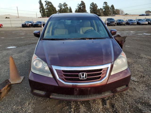 5FNRL38618B107614 - 2008 HONDA ODDESSEY EXL BURGUNDY photo 5