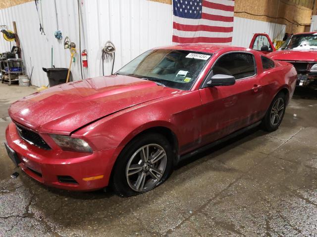 1ZVBP8AN7A5131134 - 2010 FORD MUSTANG RED photo 1
