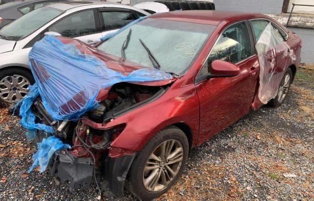 4T1BF1FKXHU727359 - 2017 TOYOTA CAMRY LE RED photo 2