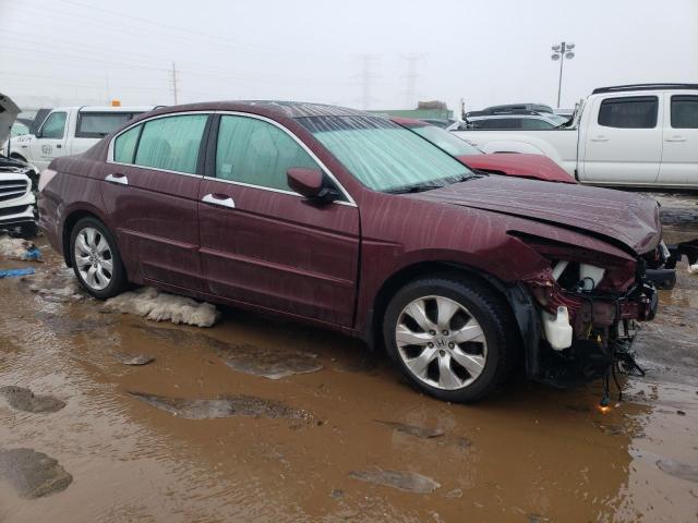 1HGCP36869A040244 - 2009 HONDA ACCORD EXL BURGUNDY photo 4