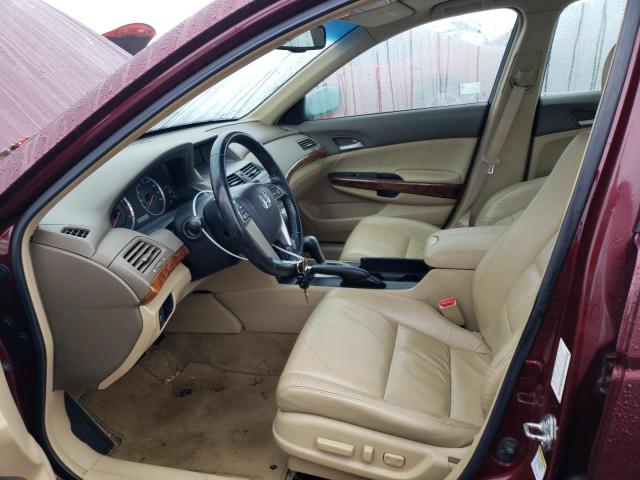 1HGCP36869A040244 - 2009 HONDA ACCORD EXL BURGUNDY photo 7