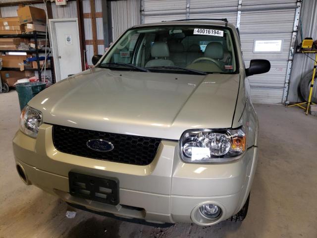 1FMYU94145KA36179 - 2005 FORD ESCAPE LIMITED BEIGE photo 5