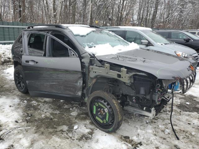 1C4PJMBX4ND510607 - 2022 JEEP CHEROKEE TRAILHAWK Boz foto 4