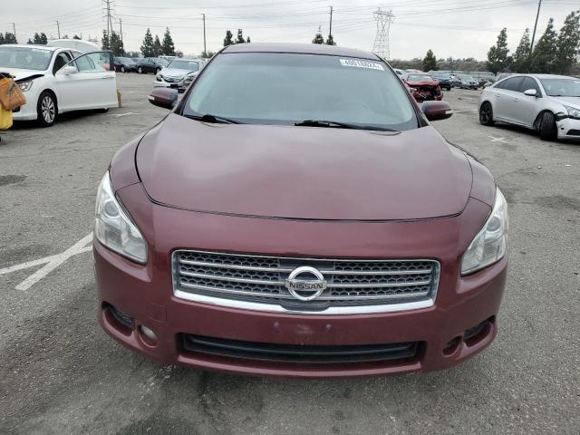 1N4AA5AP3BC804228 - 2011 NISSAN MAXIMA S BURGUNDY photo 5