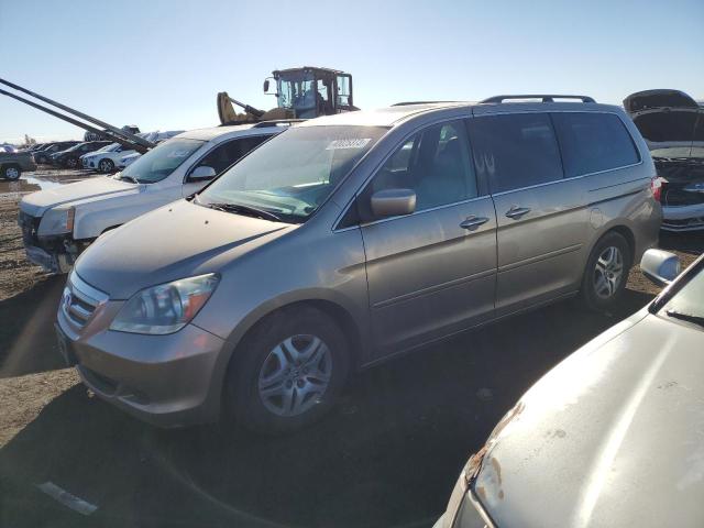 5FNRL38786B008231 - 2006 HONDA ODYSSEY EXL SILVER photo 1