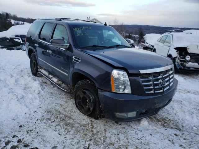 1GYUKBEF4AR103630 - 2010 CADILLAC ESCALADE LUXURY BLUE photo 4