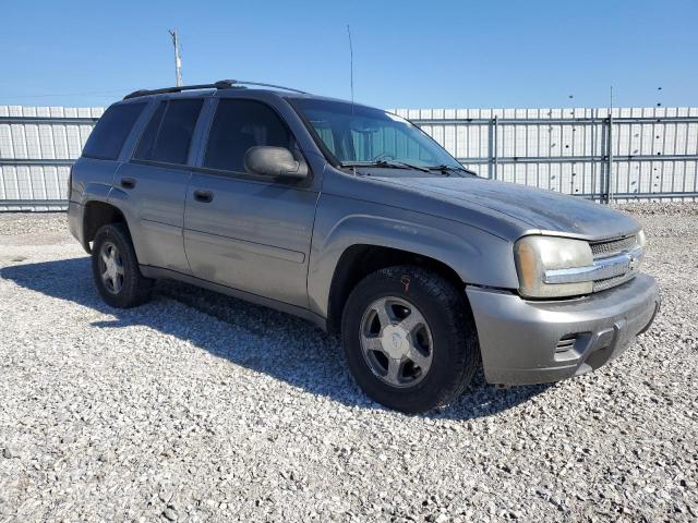 1GNDT13S362163905 - 2006 CHEVROLET TRAILBLAZE LS GRAY photo 4