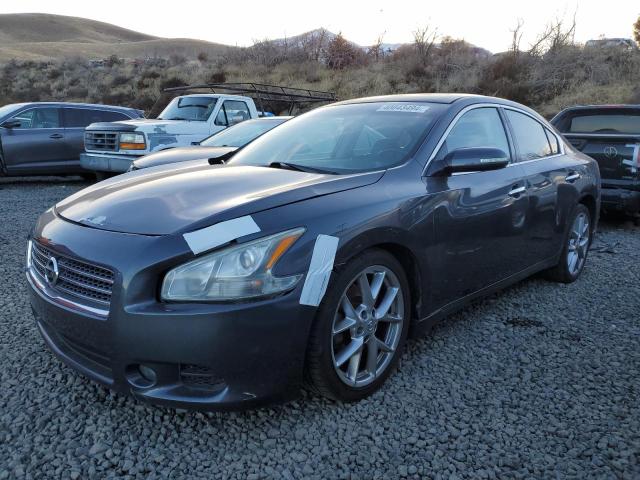 1N4AA5AP3AC800632 - 2010 NISSAN MAXIMA S BLUE photo 1