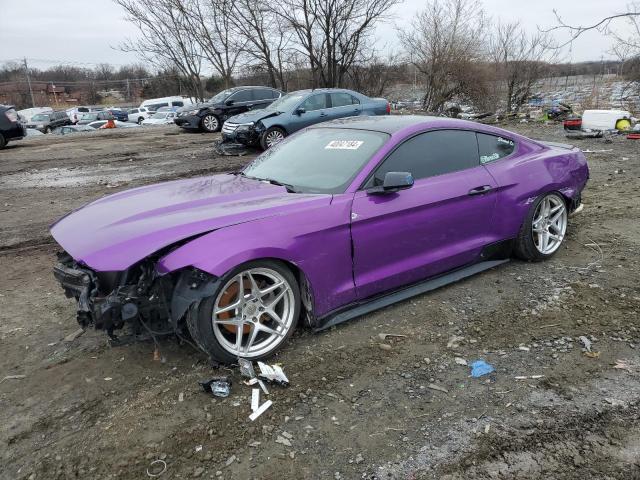 1FA6P8AM1G5272081 - 2016 FORD MUSTANG PURPLE photo 1