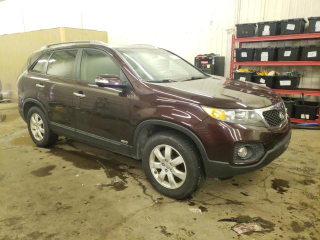 5XYKTCA6XCG258609 - 2012 KIA SORENTO BASE PURPLE photo 4