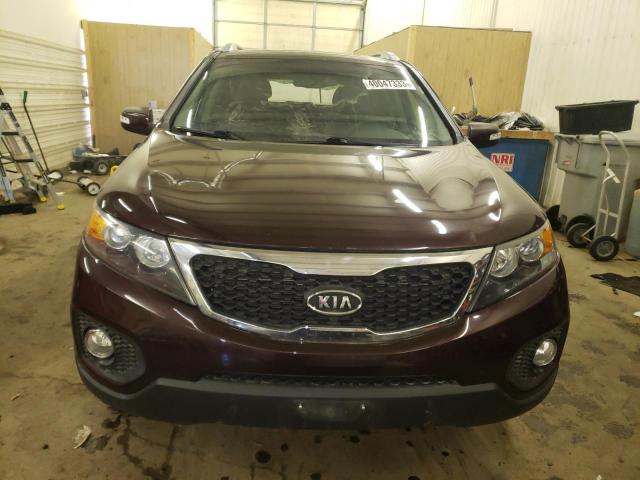 5XYKTCA6XCG258609 - 2012 KIA SORENTO BASE PURPLE photo 5