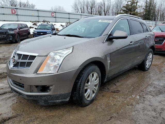 3GYFNAEYXBS679037 - 2011 CADILLAC SRX LUXURY COLLECTION BEIGE photo 1