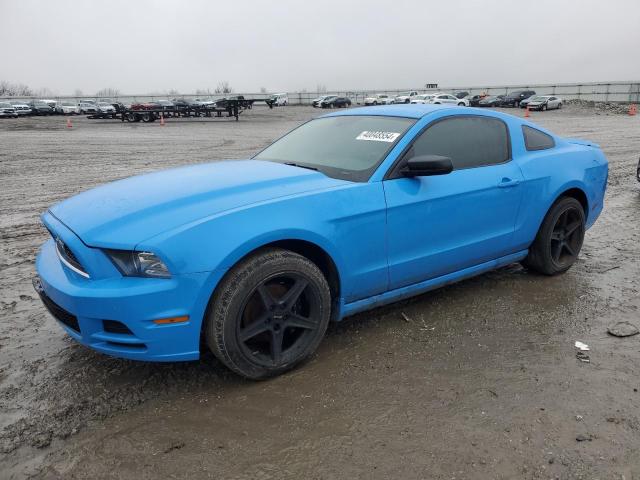 1ZVBP8AM2D5261771 - 2013 FORD MUSTANG BLUE photo 1