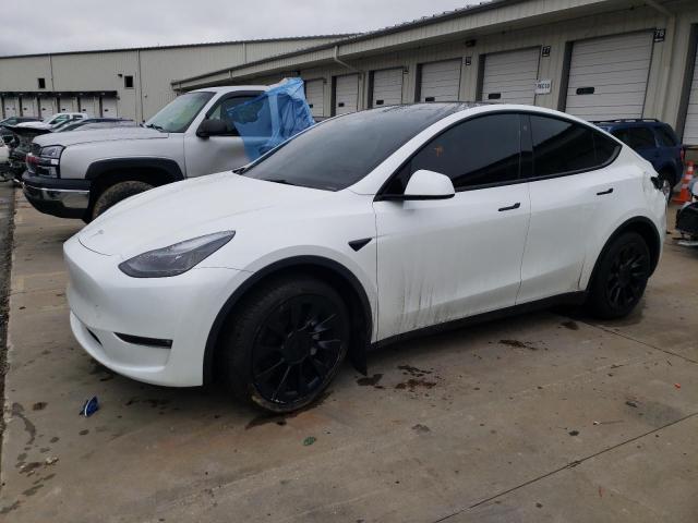 2023 TESLA MODEL Y, 