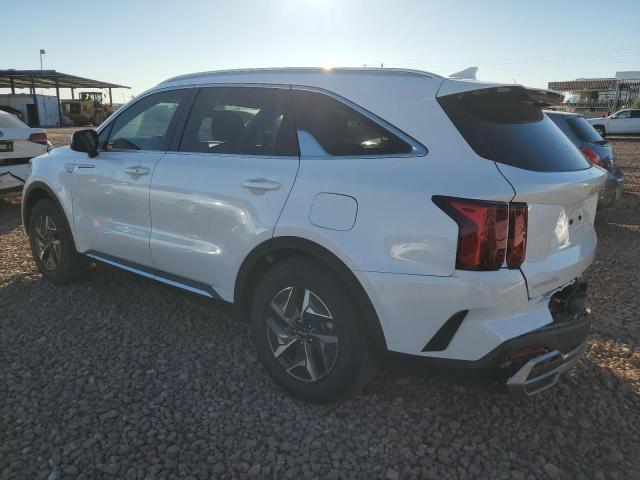 KNDRH4LG6P5173664 - 2023 KIA SORENTO EX WHITE photo 2