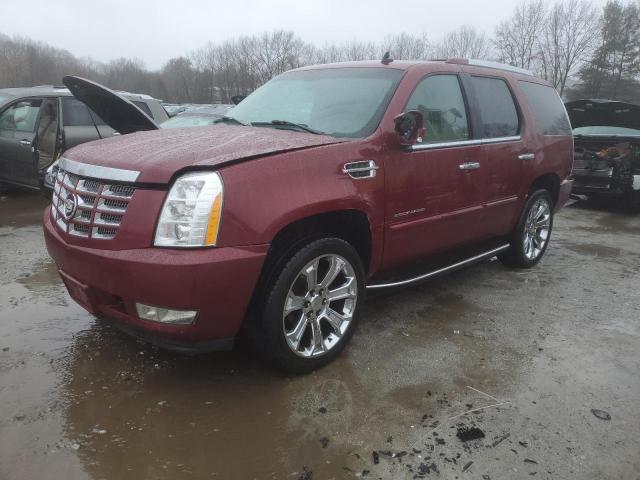 1GYFK63807R364329 - 2007 CADILLAC ESCALADE LUXURY BURGUNDY photo 1