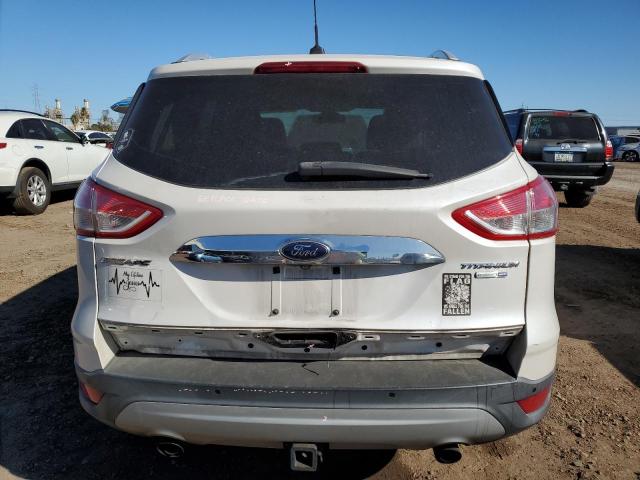 1FMCU9J92EUB99129 - 2014 FORD ESCAPE TITANIUM WHITE photo 6