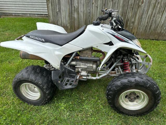 1HFTE270884702061 - 2008 HONDA TRX250 EX WHITE photo 8