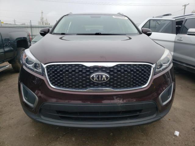 5XYPG4A52GG008133 - 2016 KIA SORENTO LX PURPLE photo 5