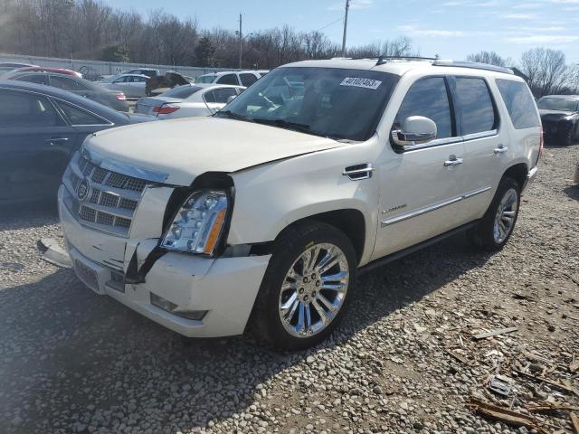 1GYS3DEF6ER104042 - 2014 CADILLAC ESCALADE PLATINUM CREAM photo 1