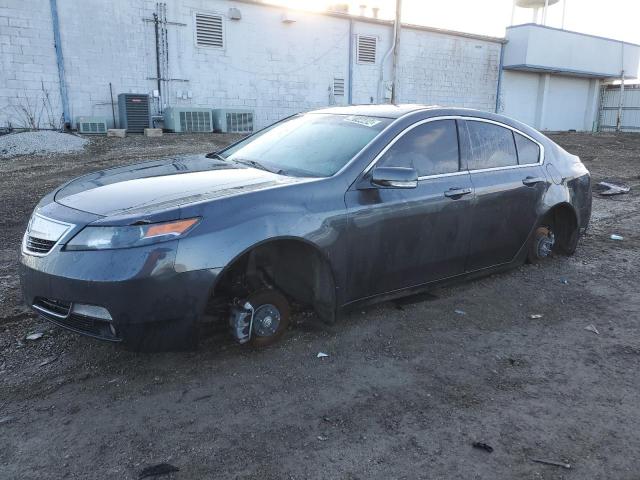 19UUA9F70DA005319 - 2013 ACURA TL ADVANCE GRAY photo 1