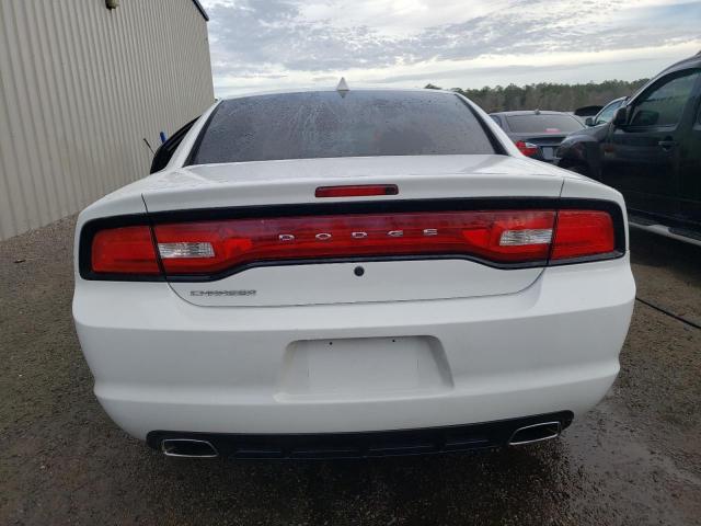 2C3CDXAT1DH538442 - 2013 DODGE CHARGER POLICE WHITE photo 6