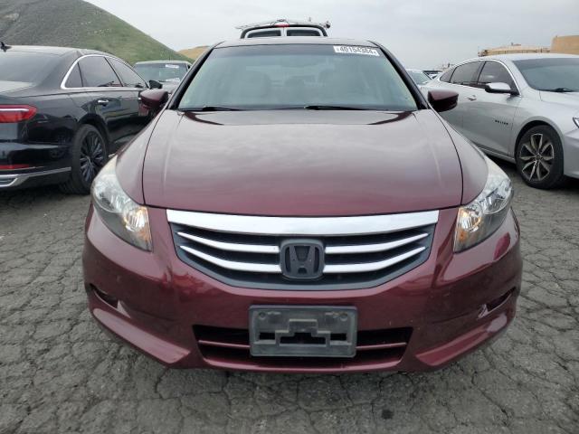 1HGCP3F82CA036876 - 2012 HONDA ACCORD EXL BURGUNDY photo 5