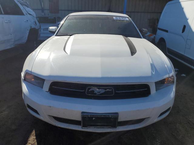 1ZVBP8AN7A5170984 - 2010 FORD MUSTANG WHITE photo 5