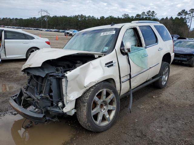 1GYS3CEF6BR379030 - 2011 CADILLAC ESCALADE PREMIUM CREAM photo 1