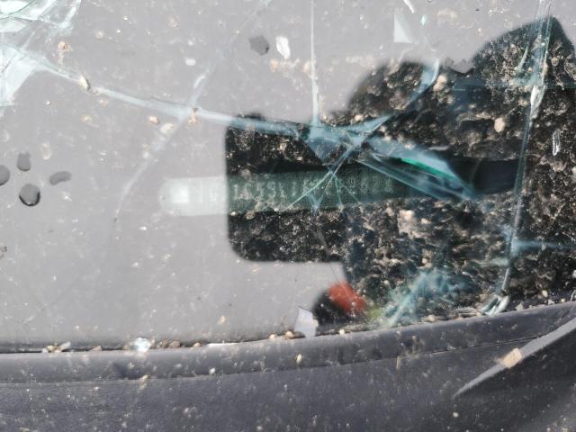 1G11C5SL1EF212628 - 2014 CHEVROLET MALIBU 1LT 金色 照片 13